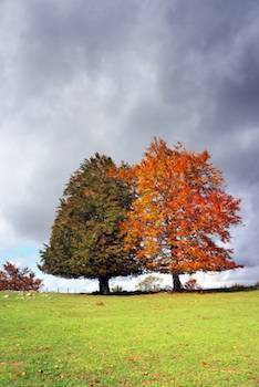 What Is The Difference Between Aspergers And ADHD 1 1