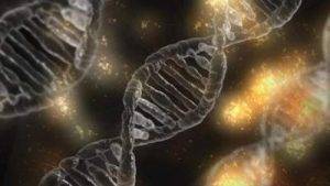 dna 1903318 1280  1540634034 62.82.182.184