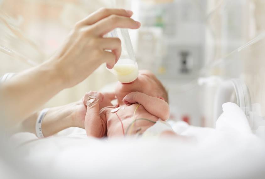 Fat Leptin