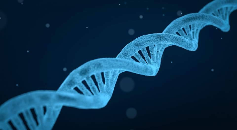 genes linked autism 2