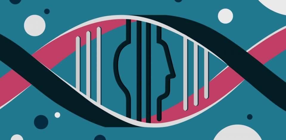 DNA segments z