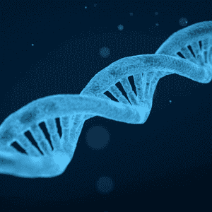 autism genes