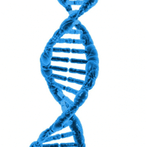 dna